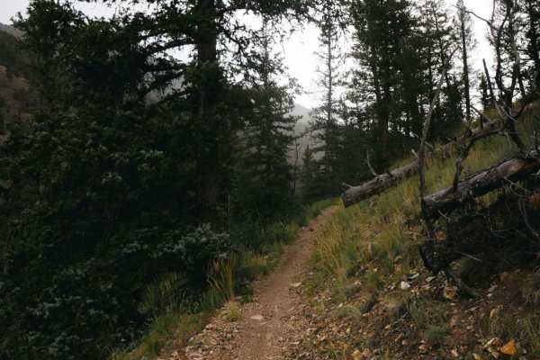 Miners Creek Trail