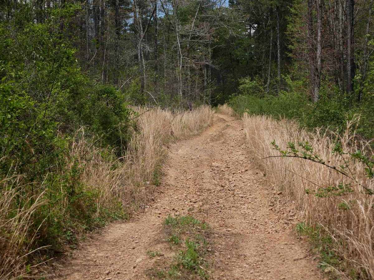 Gap Hollow Spur South 1 photo 6