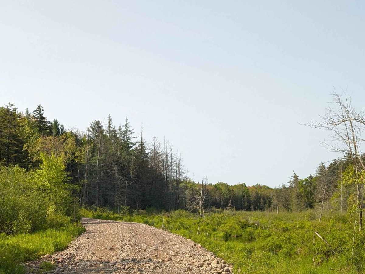 Long Pond Road photo 5