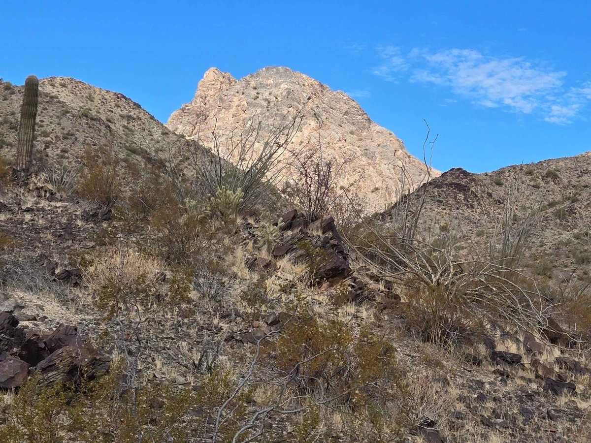 Round the Mountain Trail trail photo