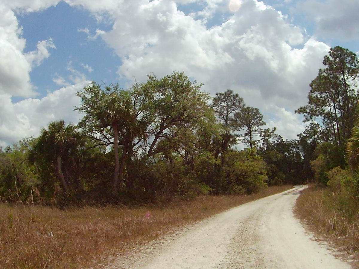 4 Sections Road photo 2