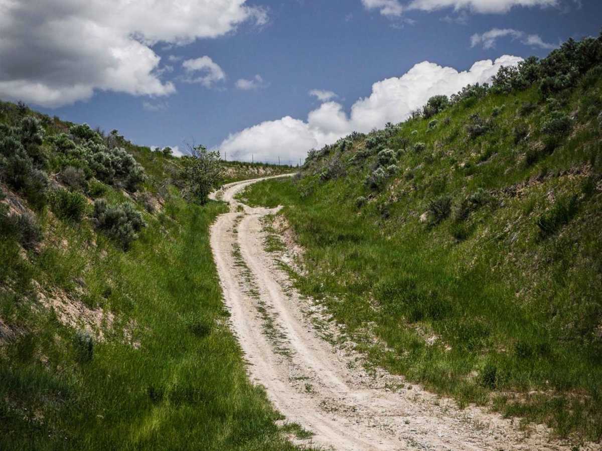 Maple Hollow trail photo