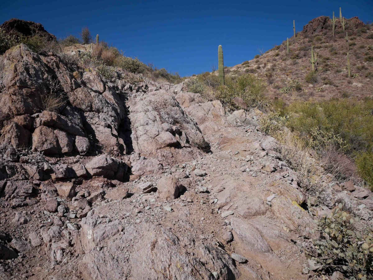 Picacho Peaks Singletrack trail photo