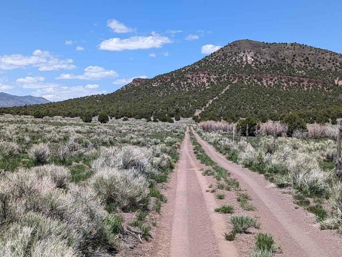 Baudino Ranch Road North photo 6