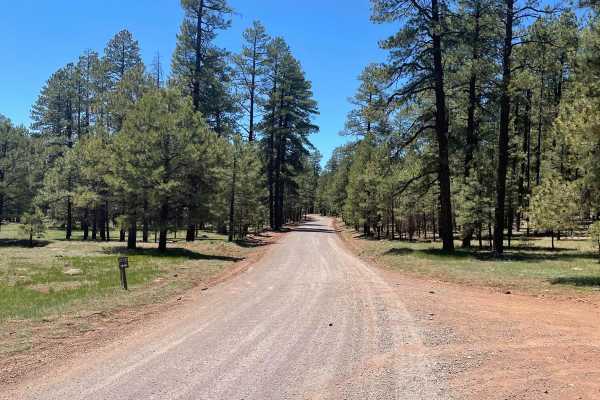 Stoneman Lake Road