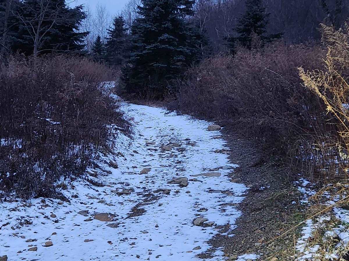 Flat Rock - Blue - Rock Run Recreation Area photo 3
