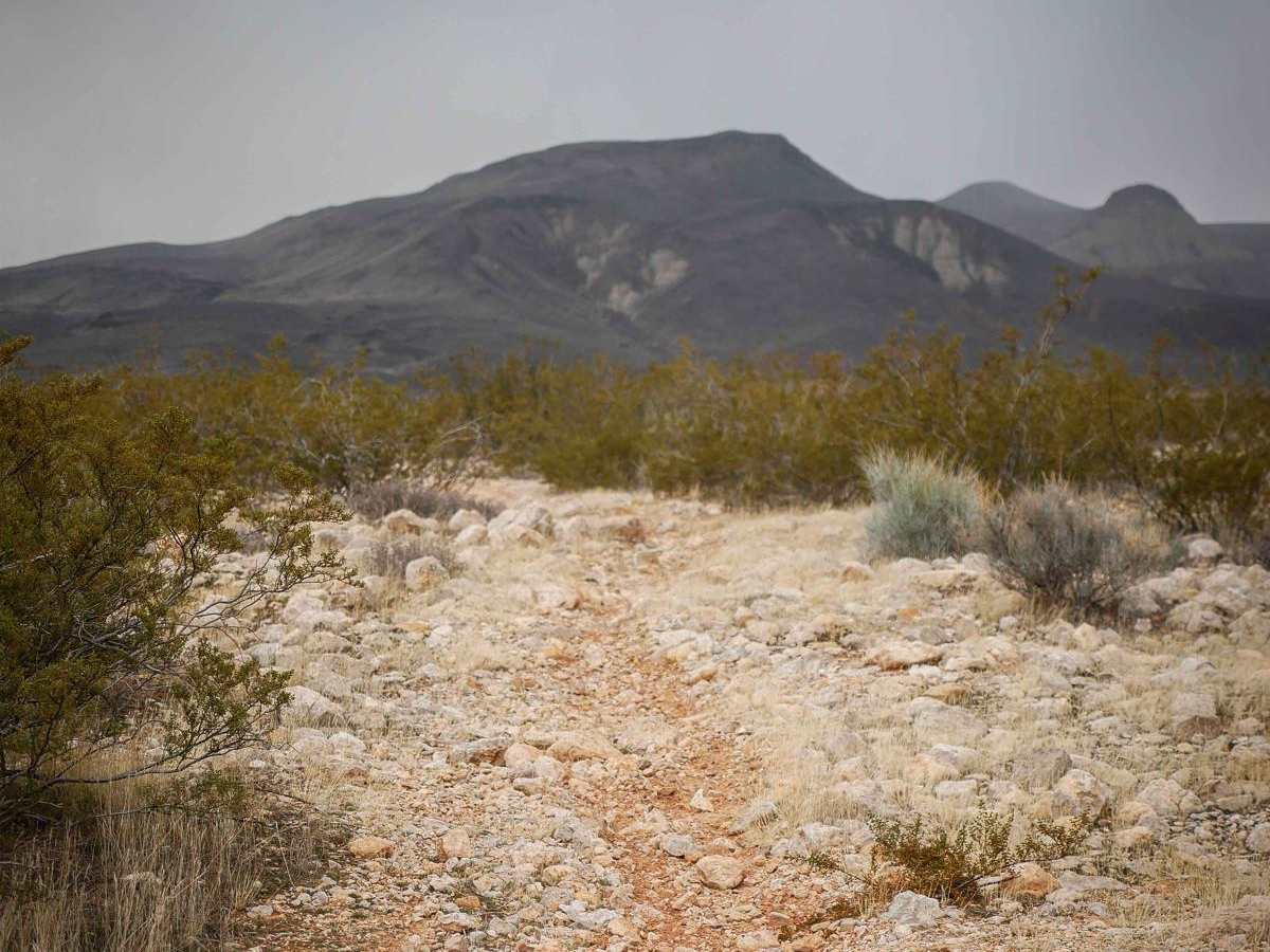2055 Single Track photo 6