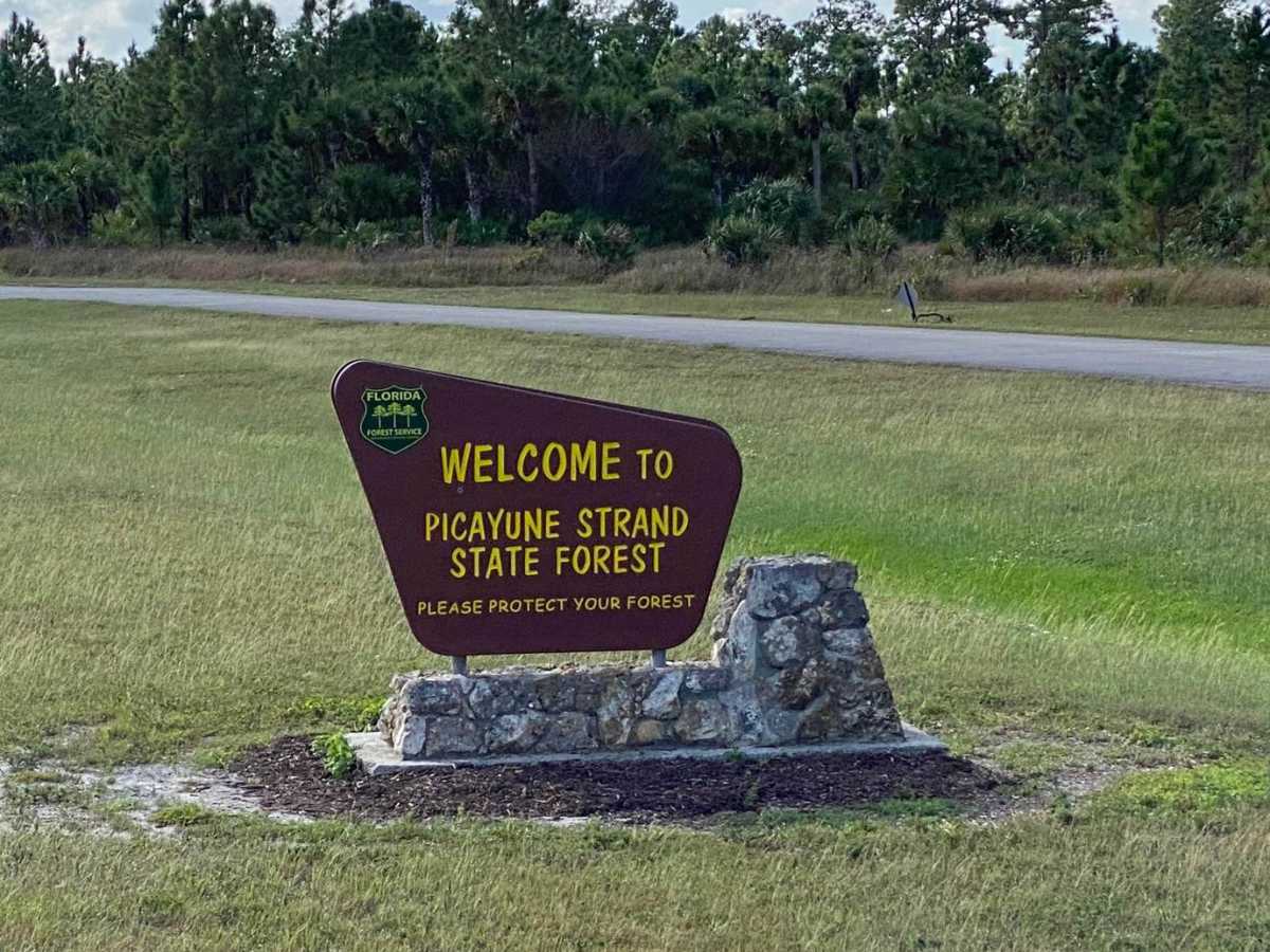 Everglades Boulevard trail photo