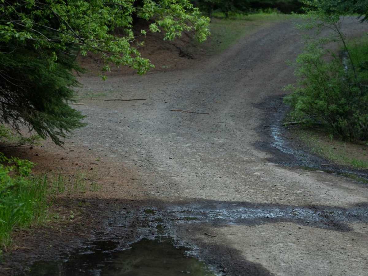 Craig's Cabin Road photo 6
