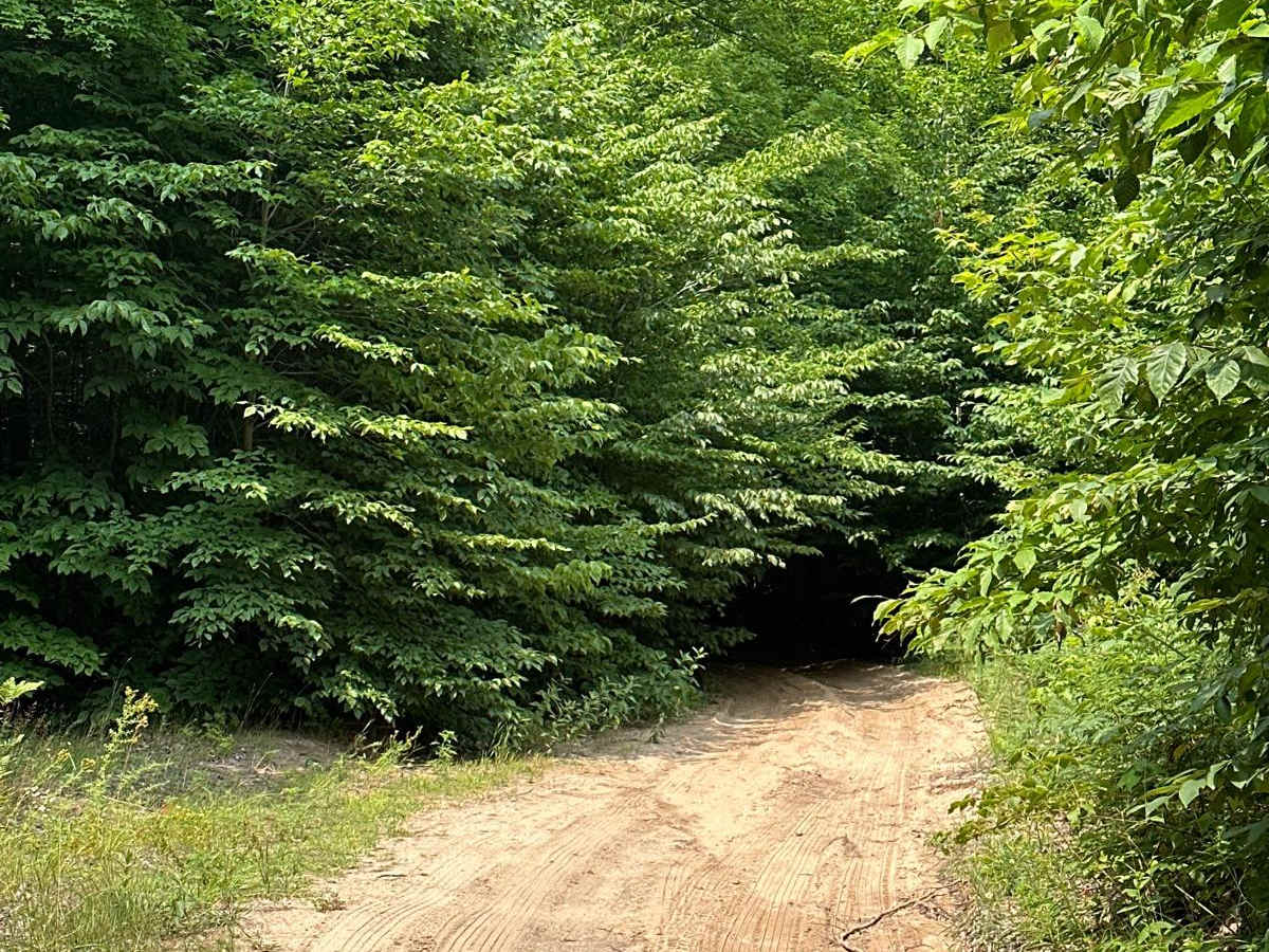 Lost Lake Road photo 4
