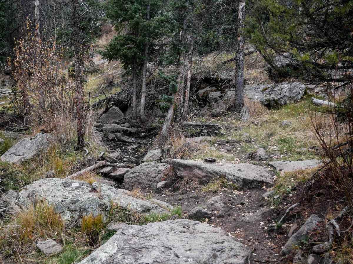 Groundhog Single Track photo 5
