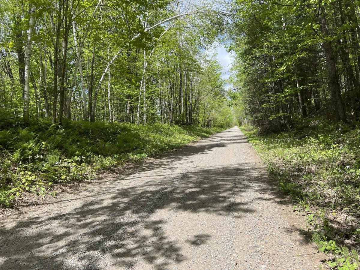 Nicolet State Trail Laona photo 2