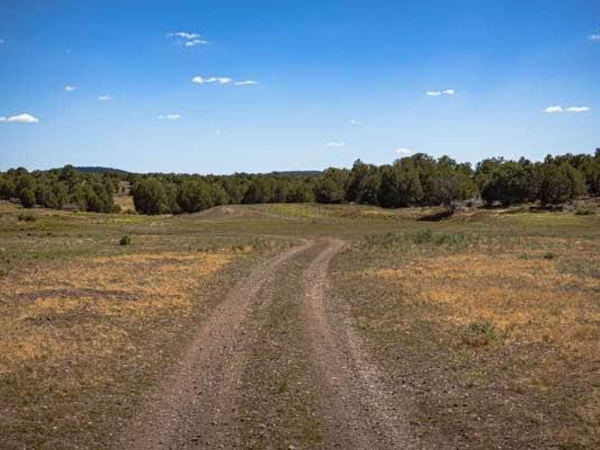 Antelope Loop photo 2