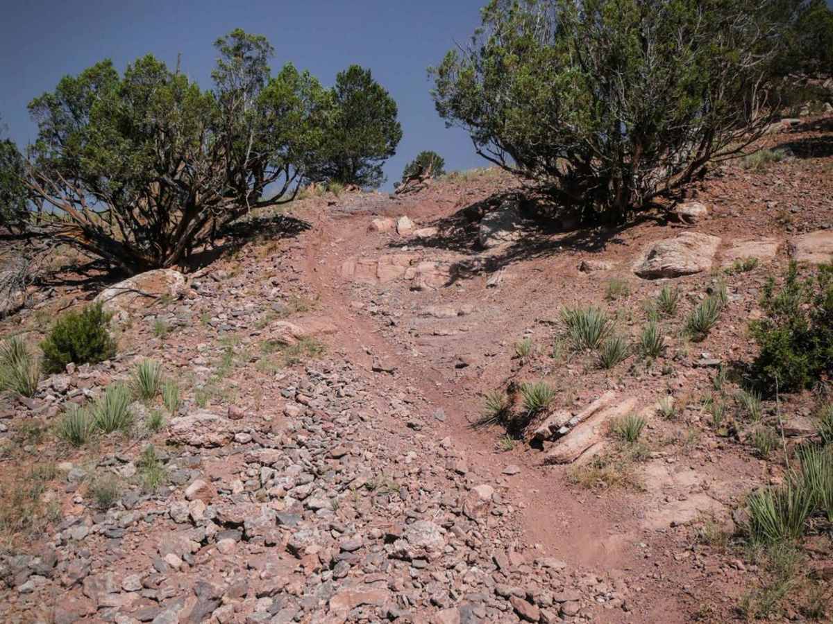 8601G trail photo