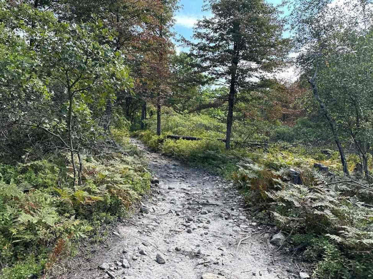 31 Blue - Alternate trail photo