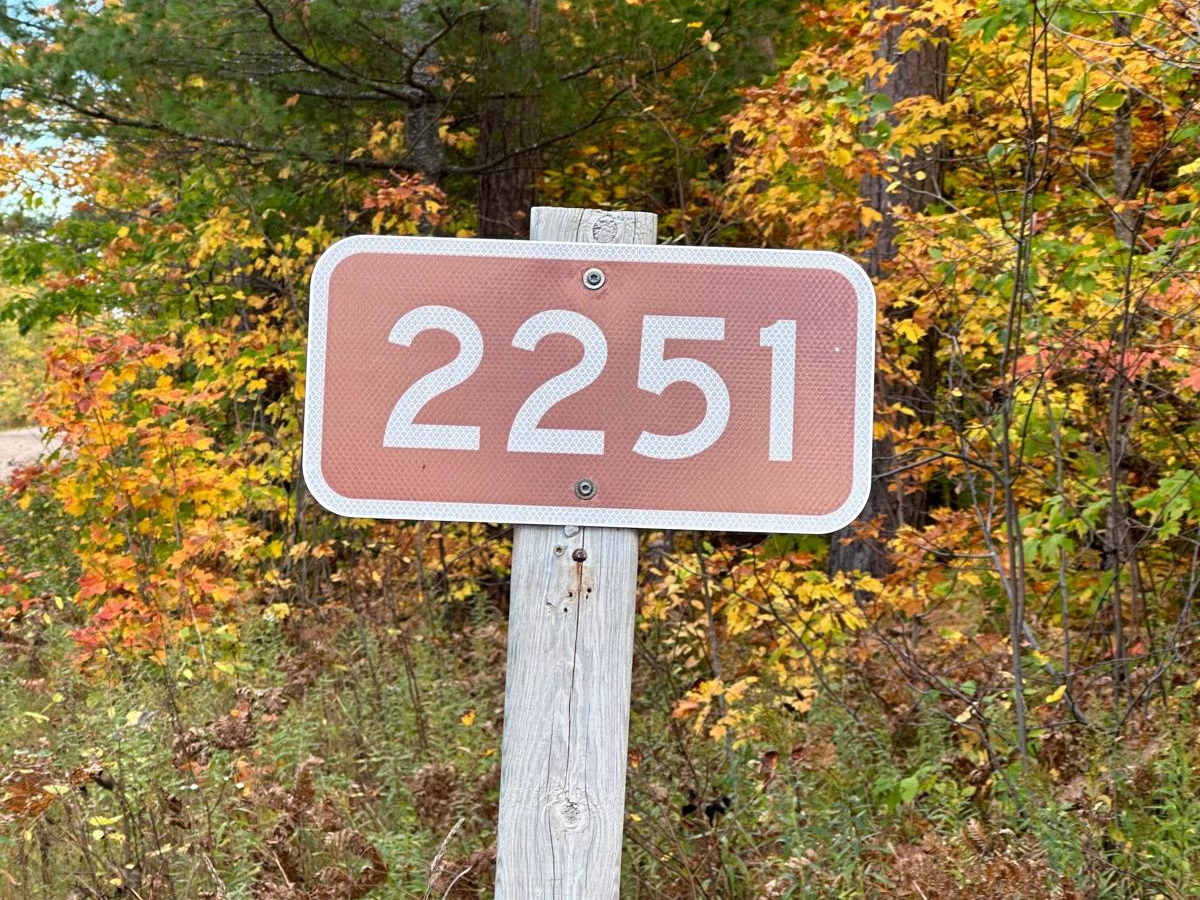 FS 2251 trail photo