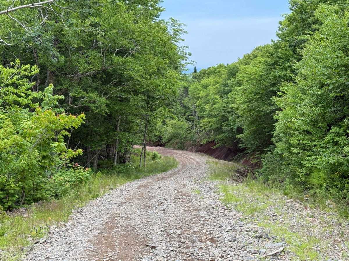 Gillanders Mountain Road East photo 4