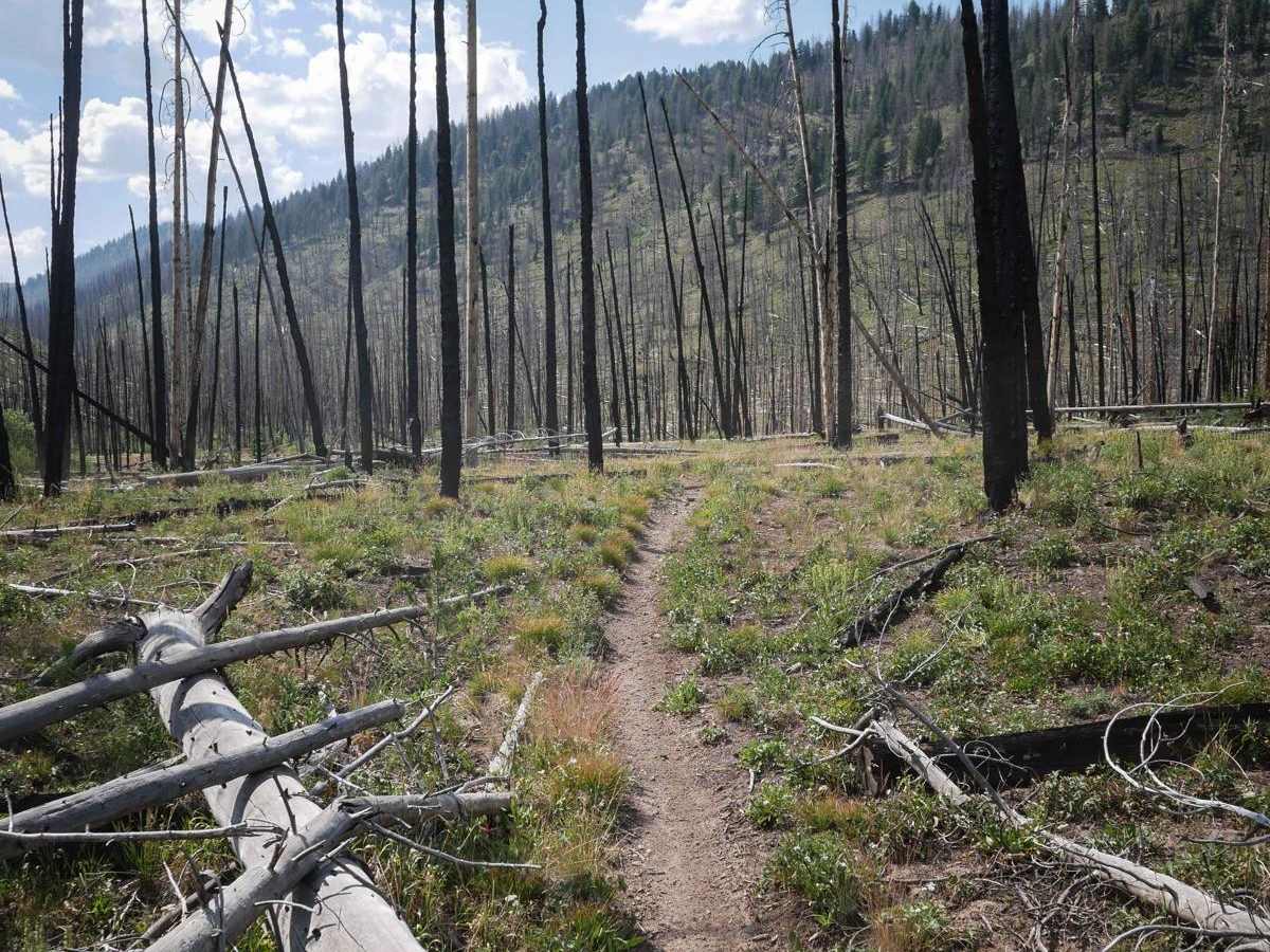 Sunday Creek trail photo