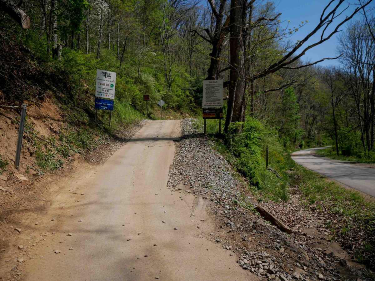 P10 trail photo