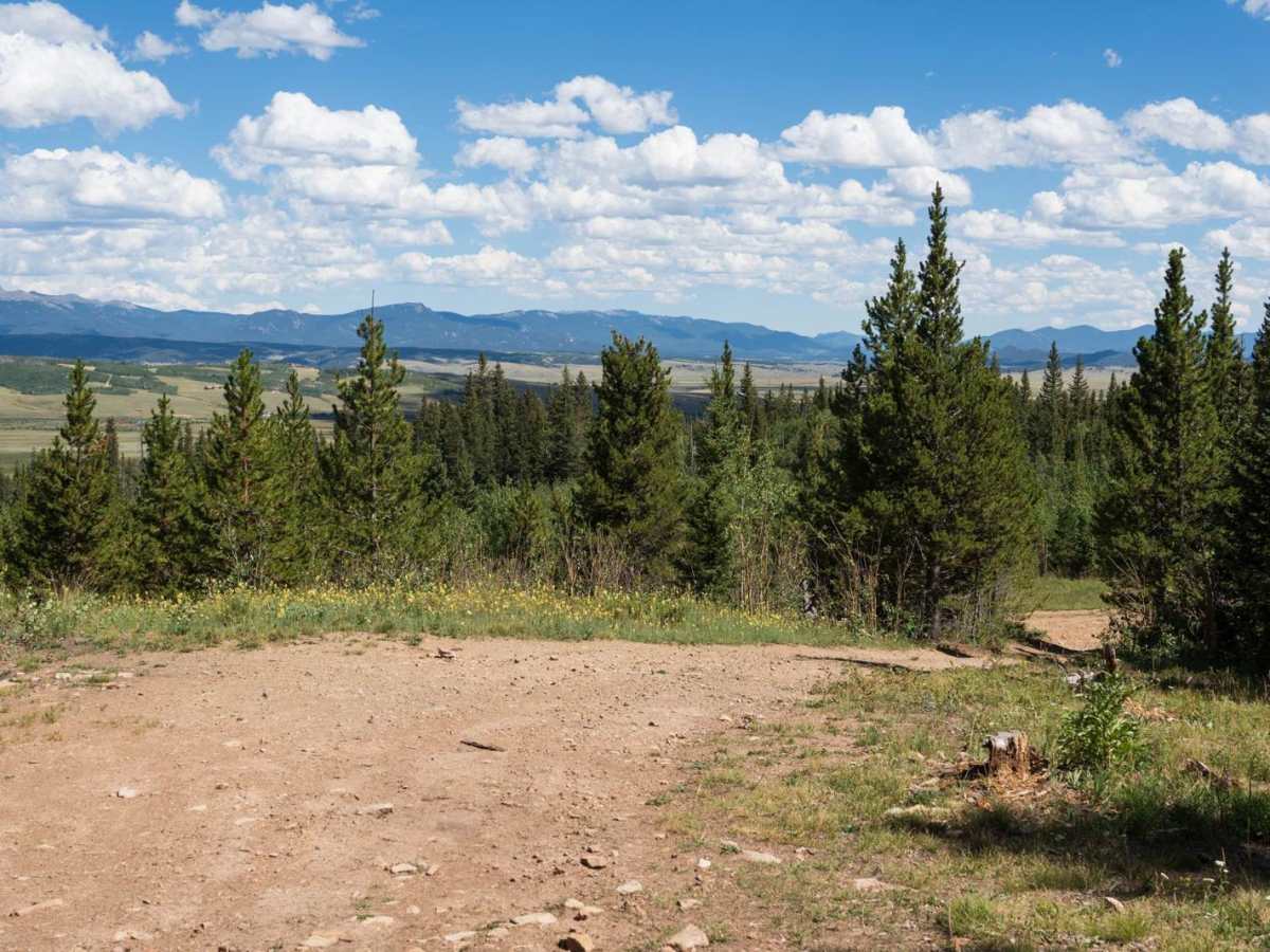 FR 136 trail photo