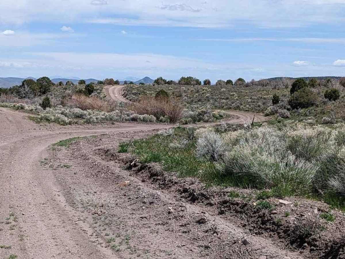 Baudino Ranch Road North photo 3