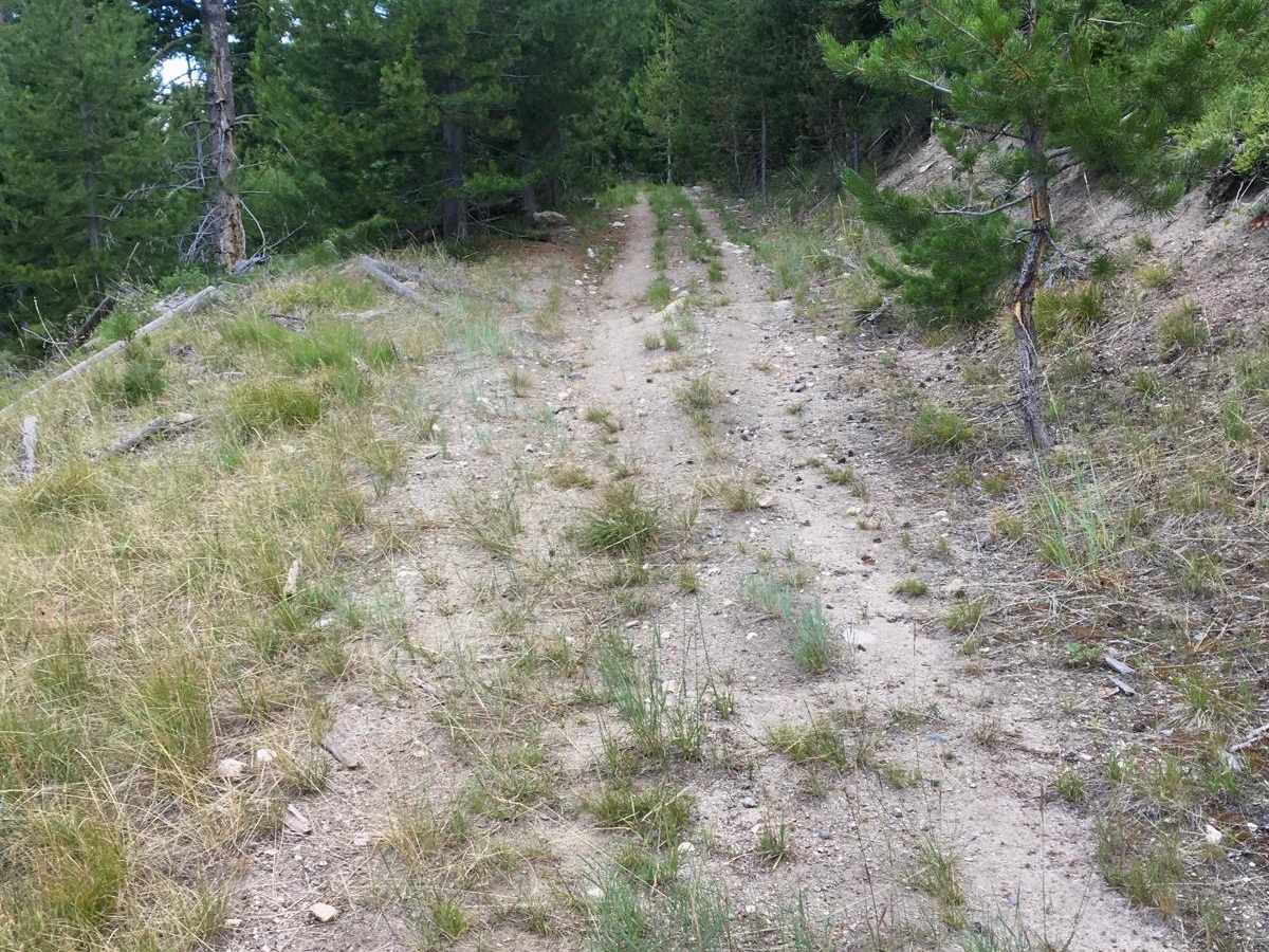 Cold Spring Hill ATV Trail photo 3