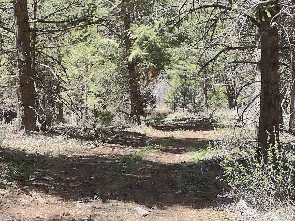 Arco Pass to Horsethief Canyon photo 3