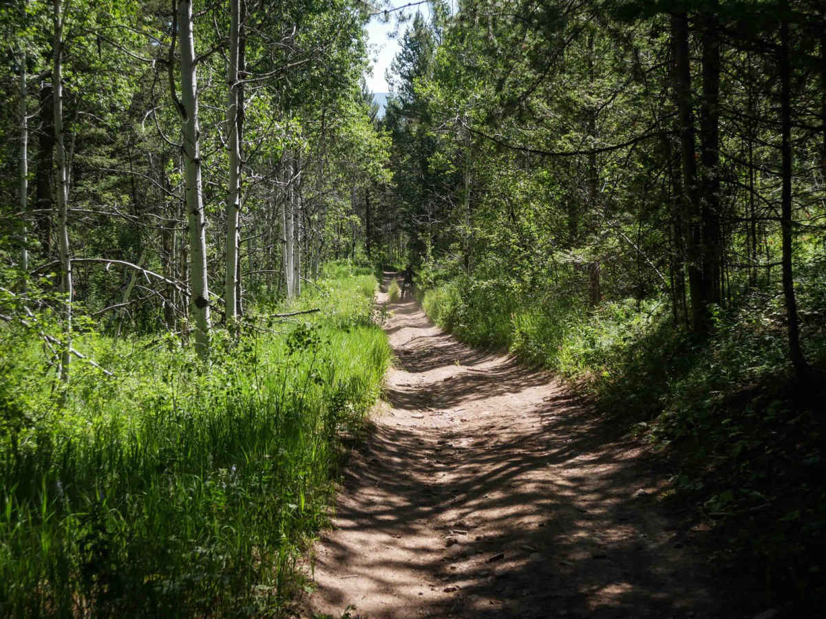 Trail Canyon East #5250  photo 6