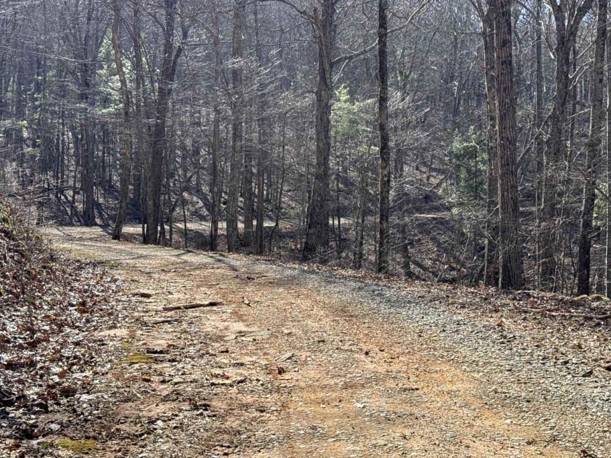 Corbin Creek - FR 698 photo 2