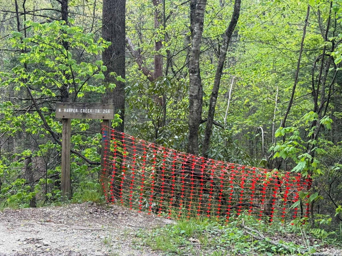 Harper Creek Road - FS 58 photo 5