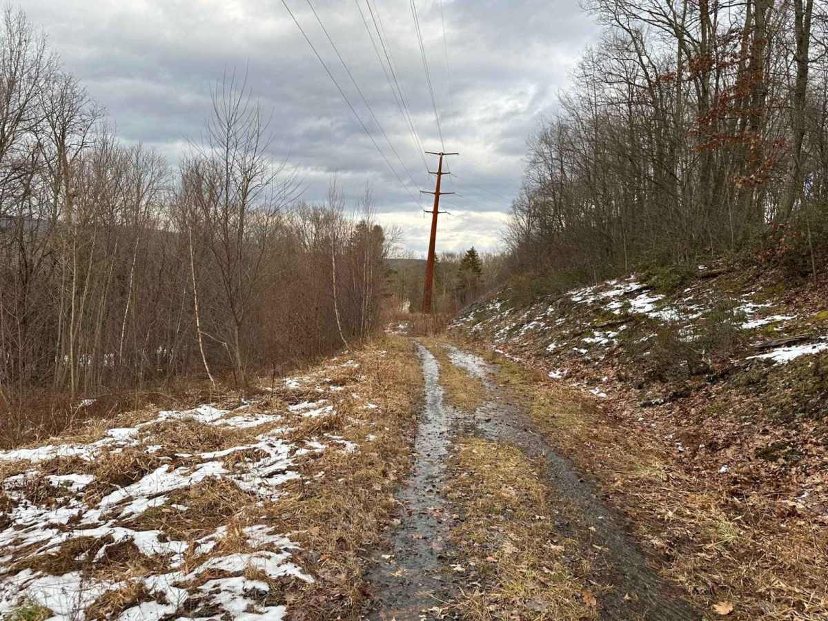 Ashland 88 photo 6