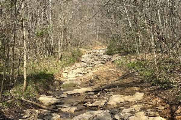 Trail 24
