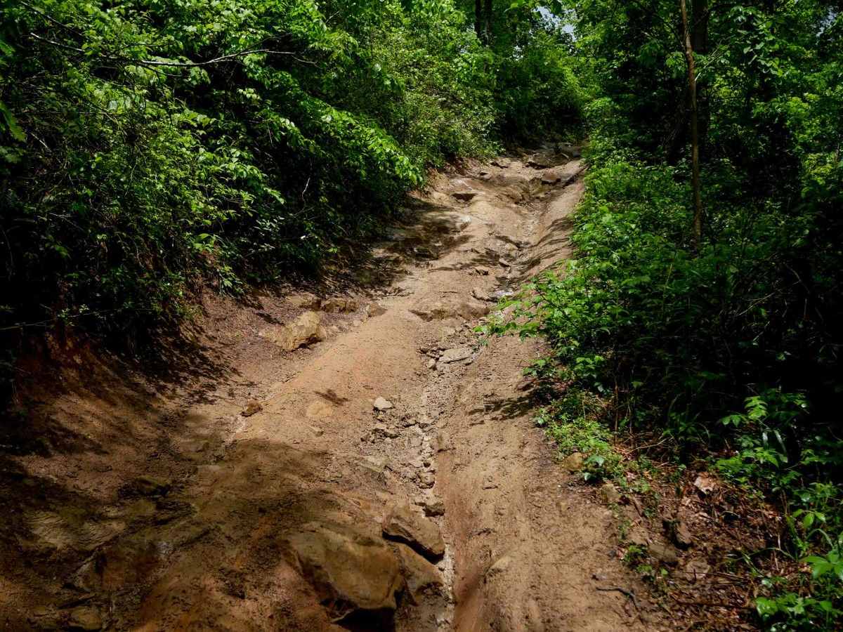 DA 82 trail photo