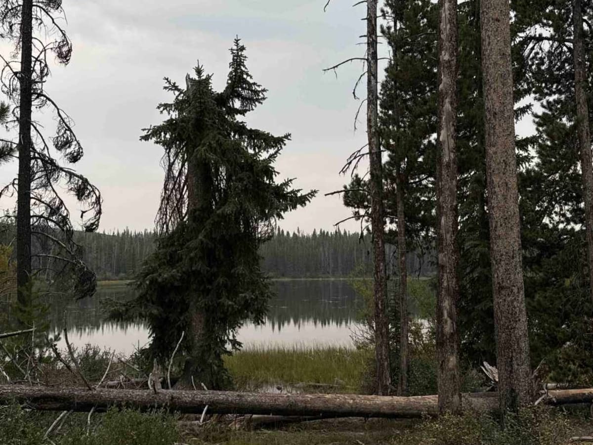 Rat Lake Road trail photo