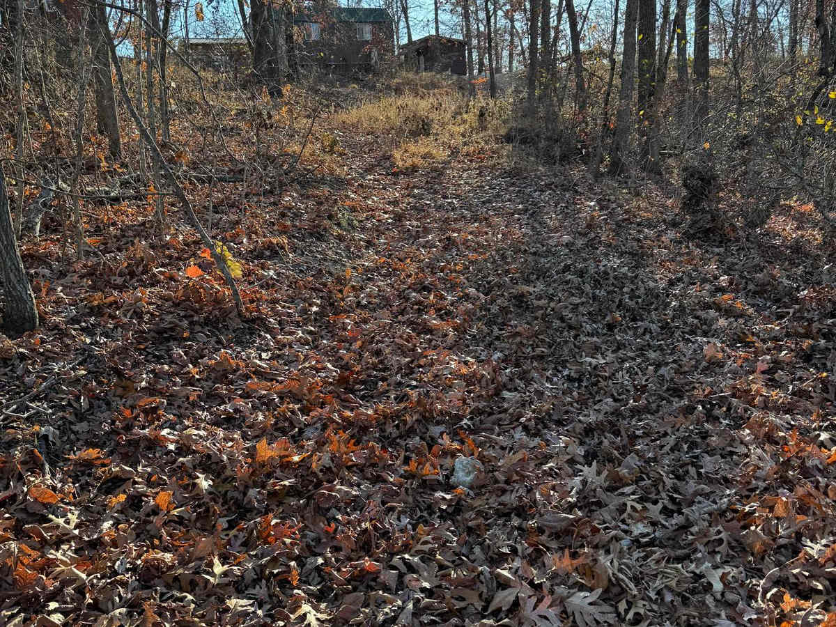 Green 235 trail photo