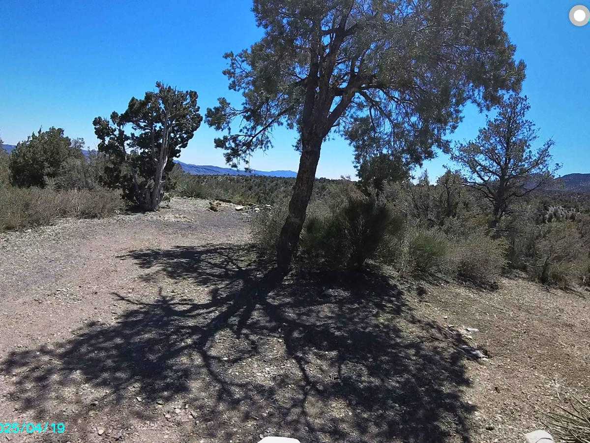 Pine Nut Road photo 3