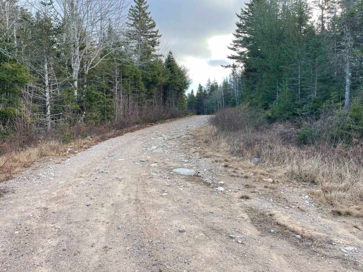 Mill Lake Road photo 6