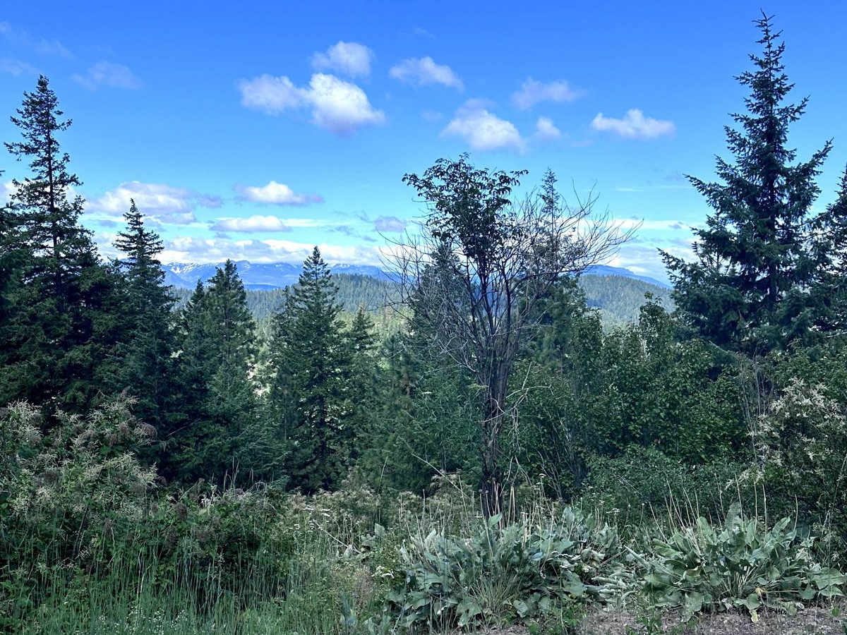 Second Creek Road trail photo