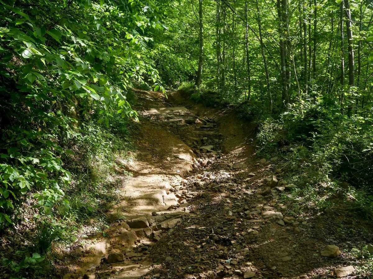 RV25 trail photo