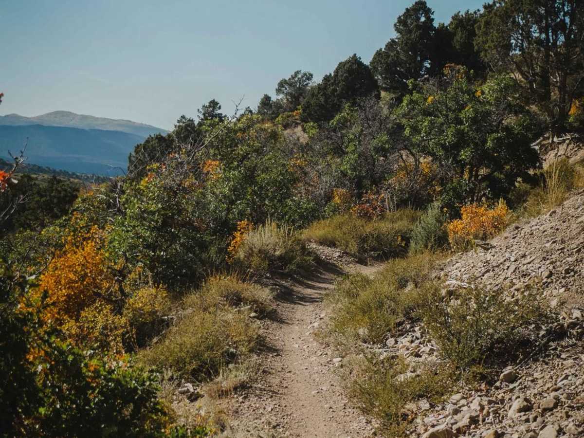 South Porcupine Trail photo 2