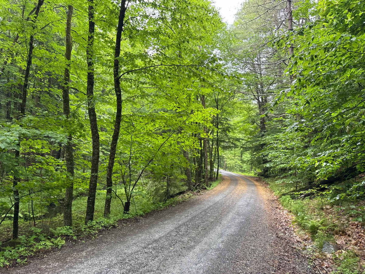 Dacy Clearing Road photo 4