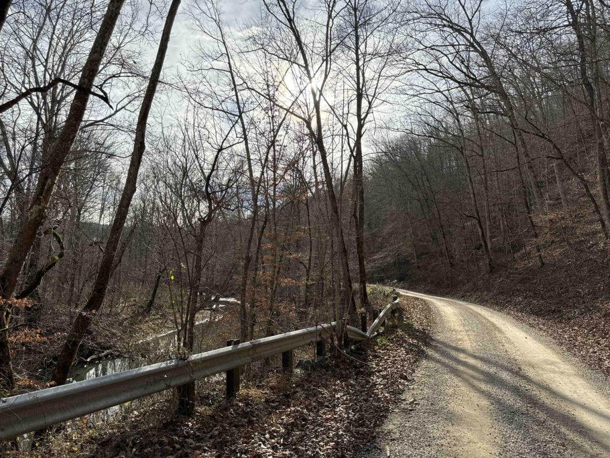 Todds Road photo 4