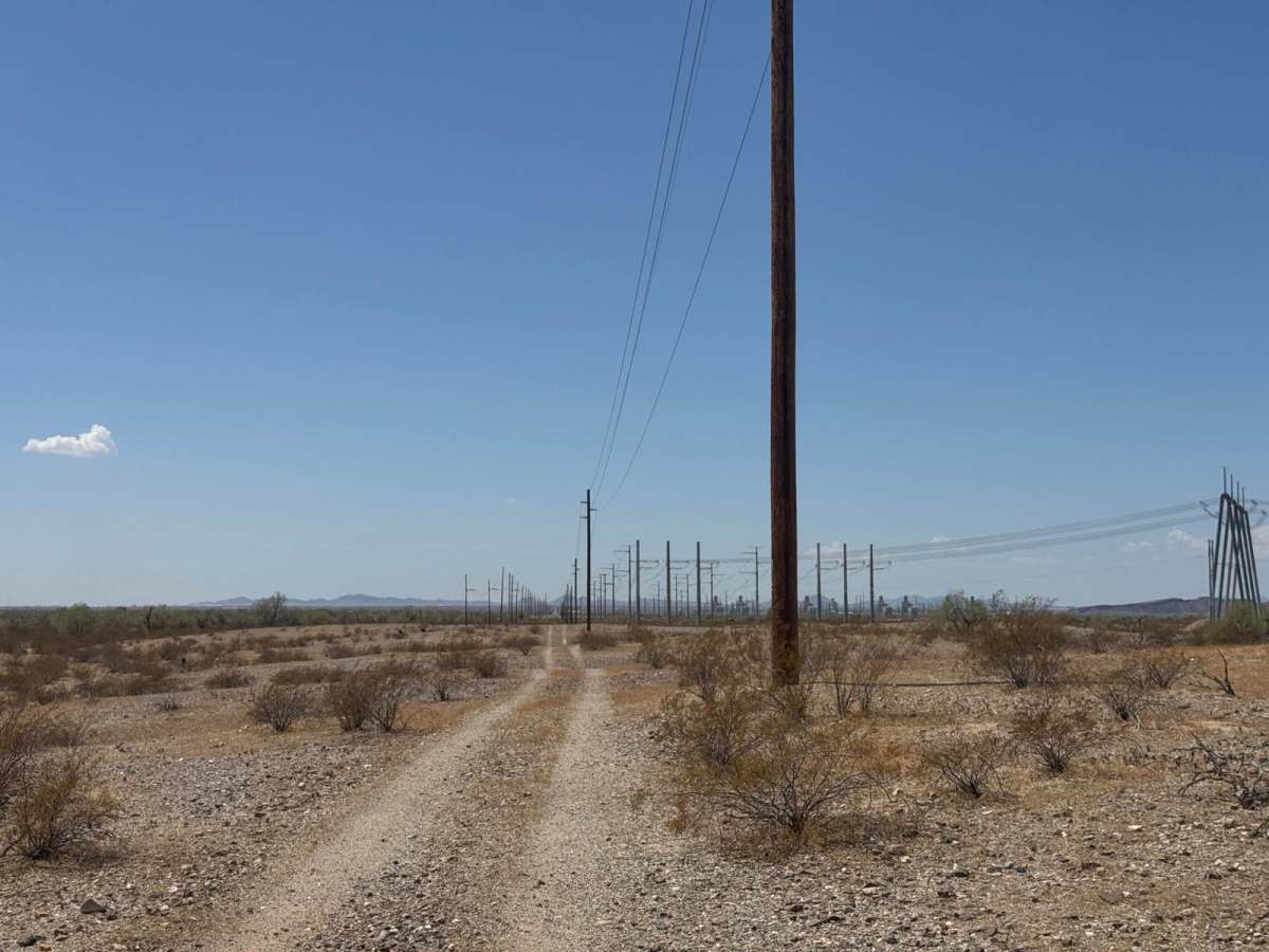 The Buzz of Gila Bend trail photo