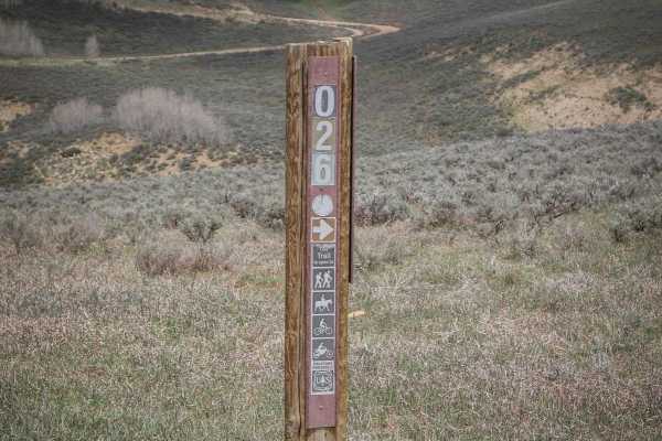 Buffalo Canyon #026