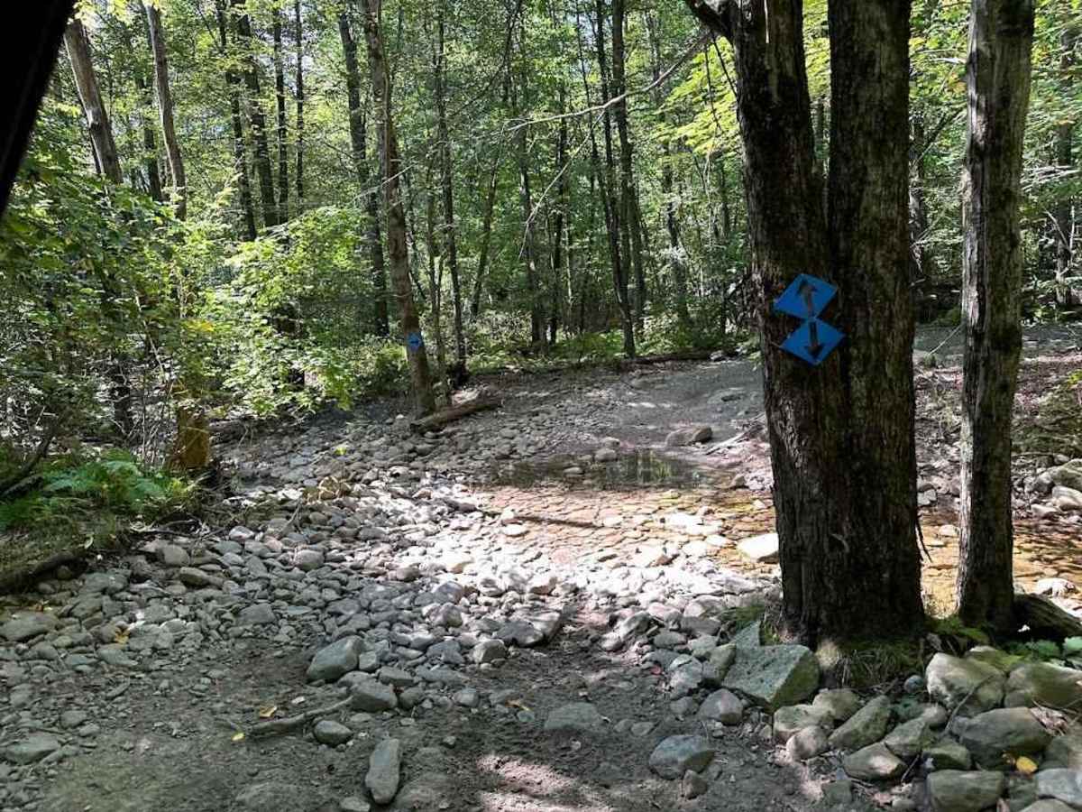 11 Blue photo 6