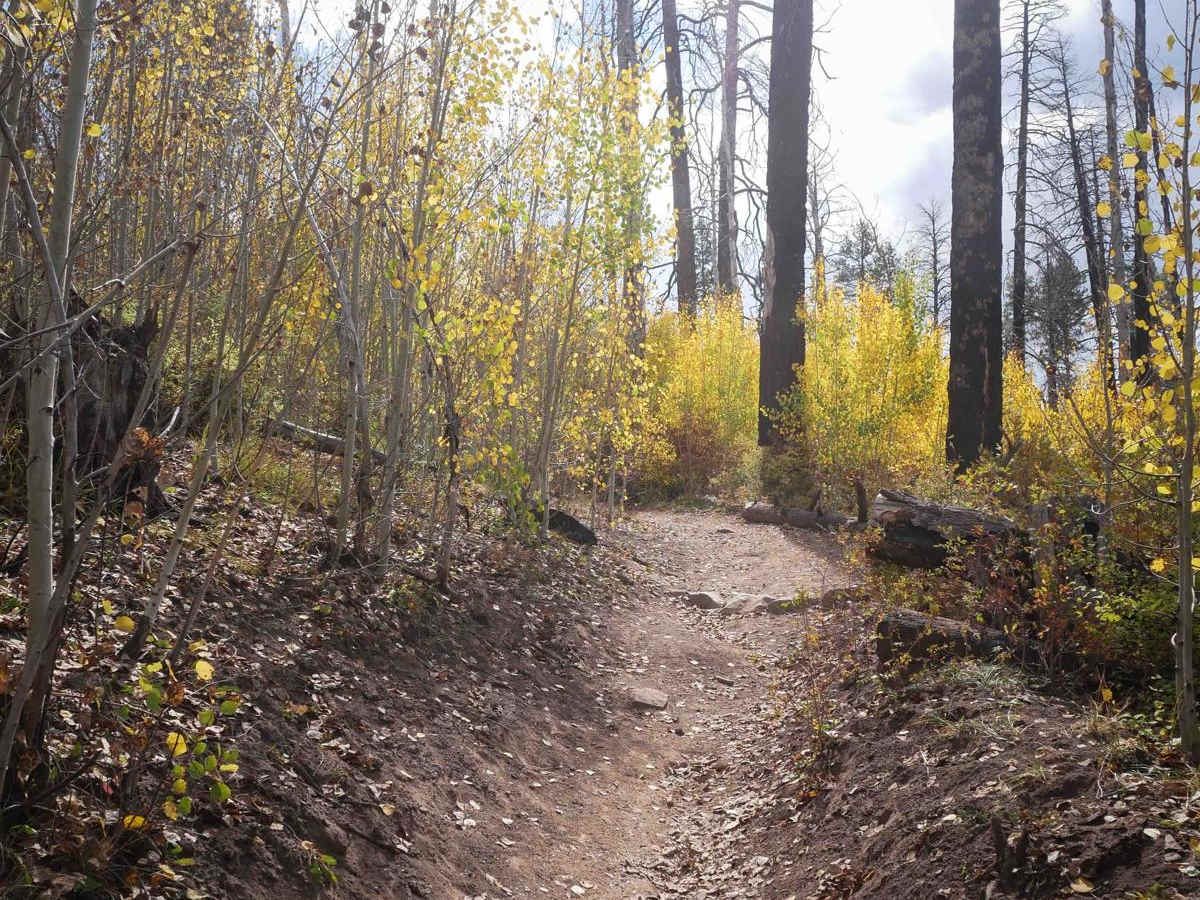 Hermosa Creek ATV photo 5