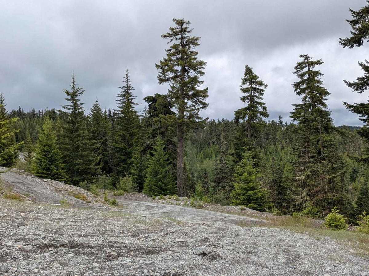 Tamarack Quarry 2656955 photo 6