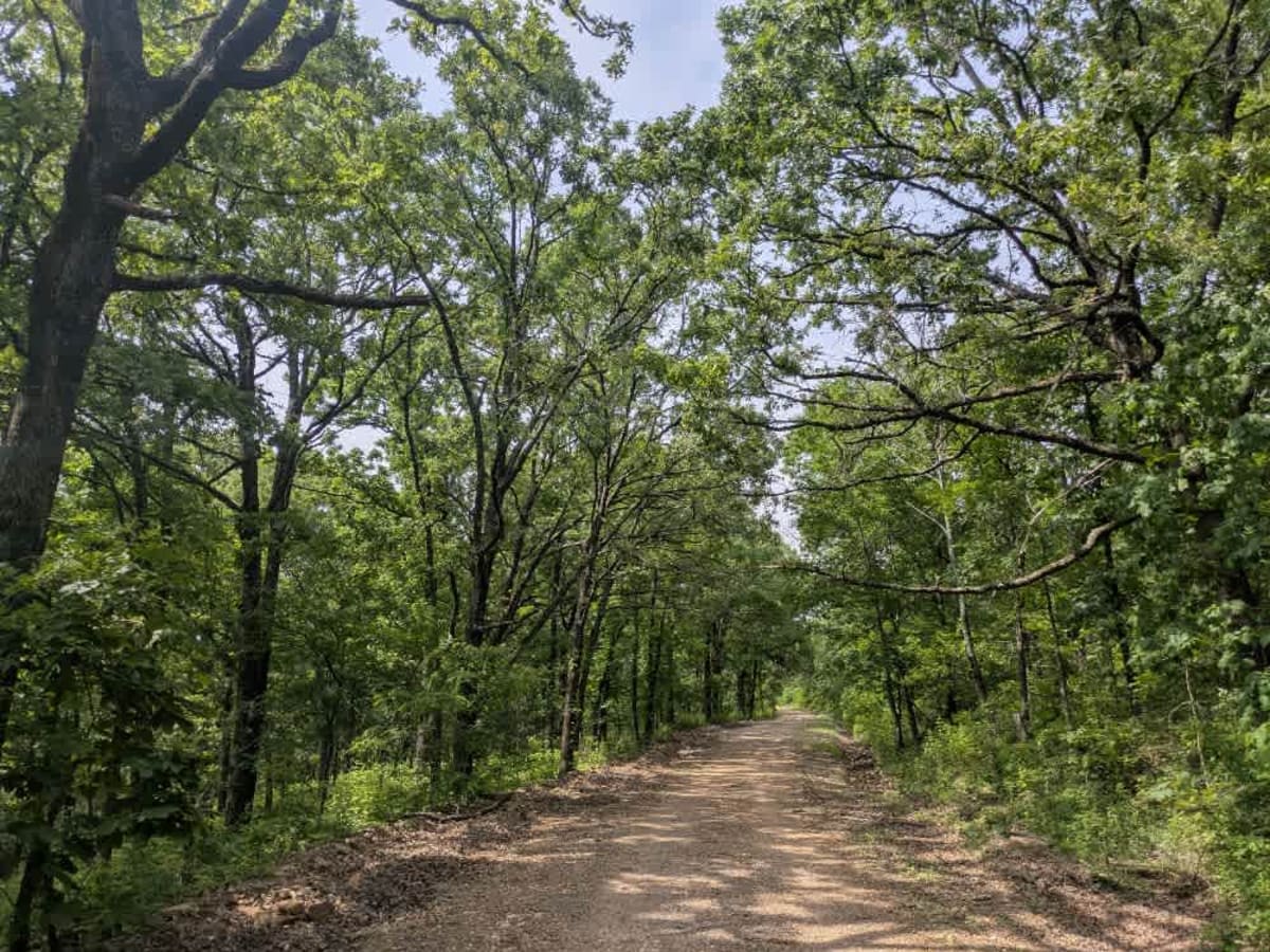 S4780 Road trail photo