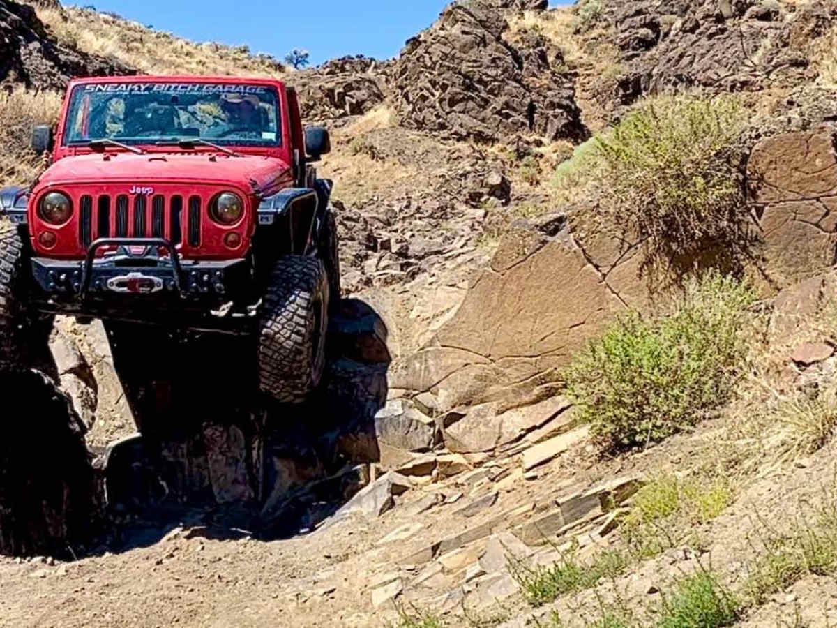Double Headed Dragon trail photo