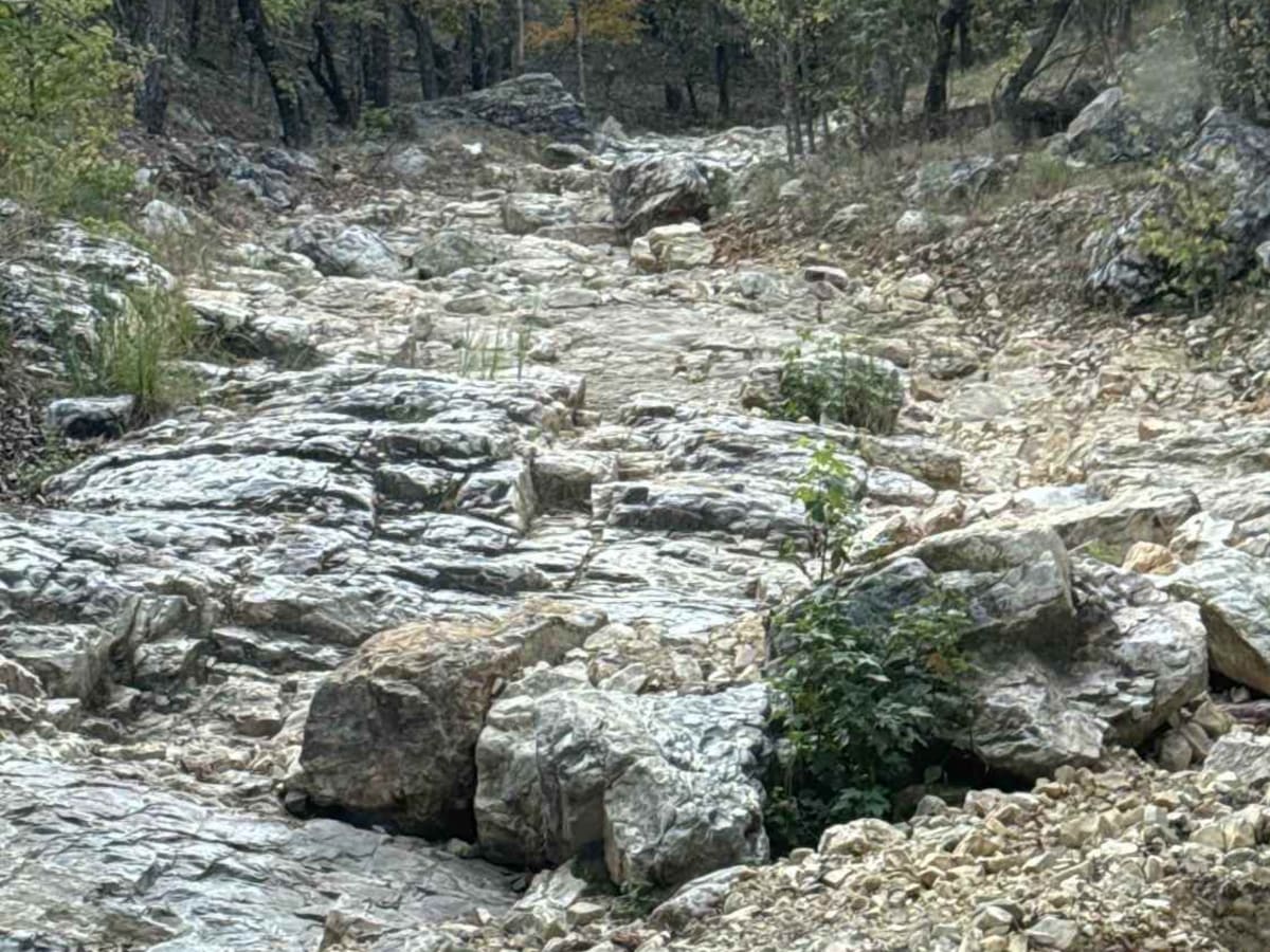 Ravine photo 3